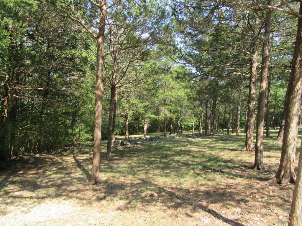 Tbd Craig Road - Photo 1