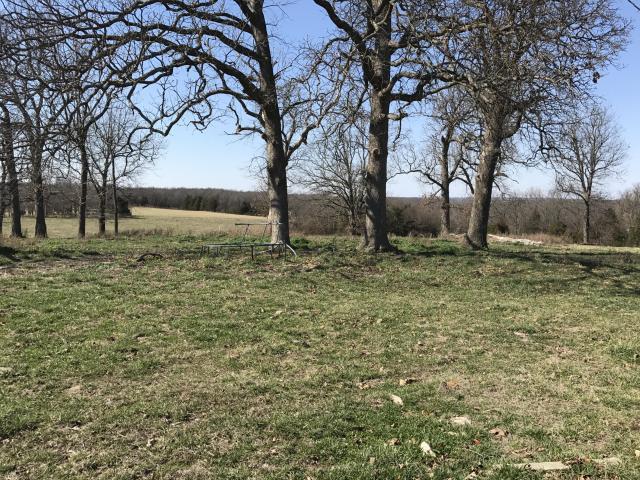11801 Farm Road 119 - Photo 1