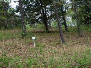 Lot 21 Mule Barn Drive - Photo 1