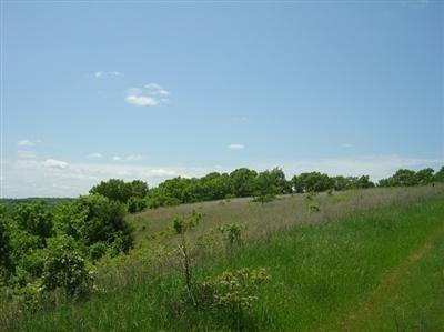 0 Wolf Road - Photo 1