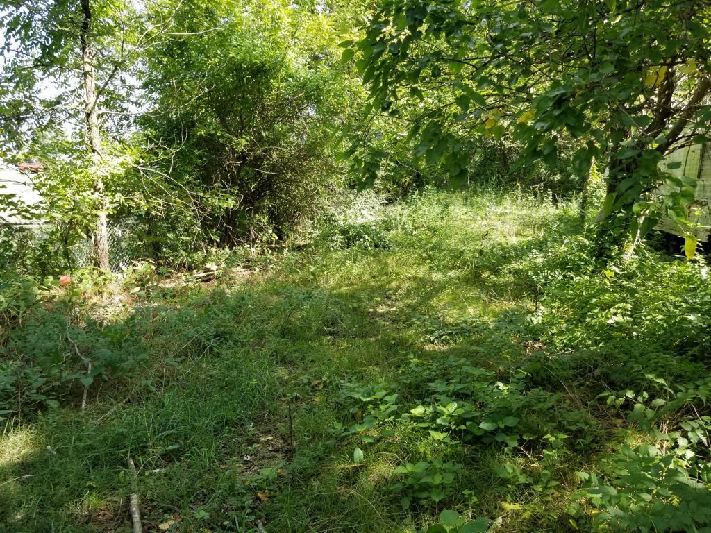 4421 County Road 1820 - Photo 1