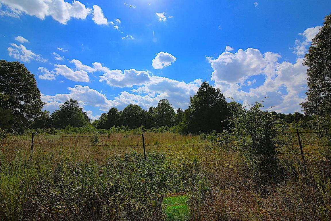 Tbd County Road 9640 - Photo 1