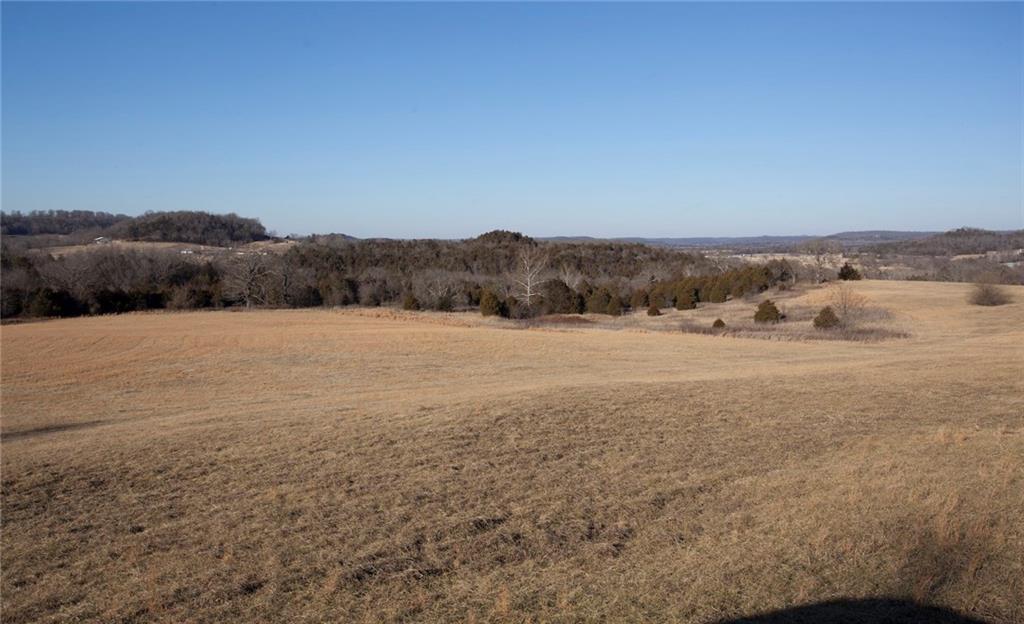00 Shaddox Lane - Photo 1