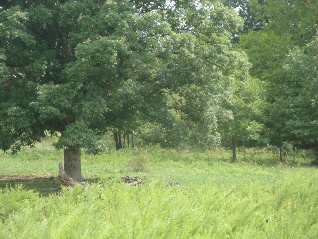 2 Holman Road - Photo 1