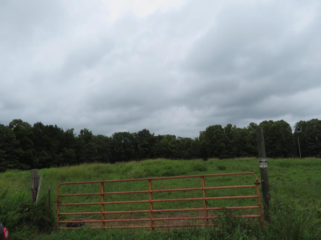 Tbd Ab Fine - Photo 1