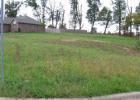 1119 Bluegill Street - Photo 1