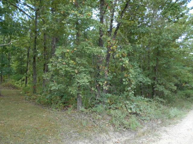 000 Tbd Pine Ridge Lane - Photo 1