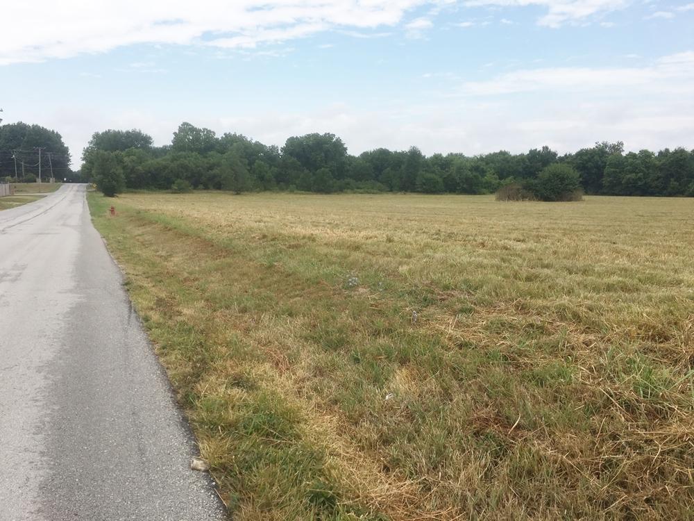 Tbd Walk On Drive - Photo 1