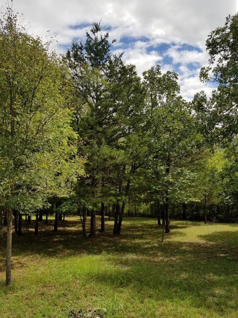 Lots 4&5 Valley Stream Circle - Photo 1