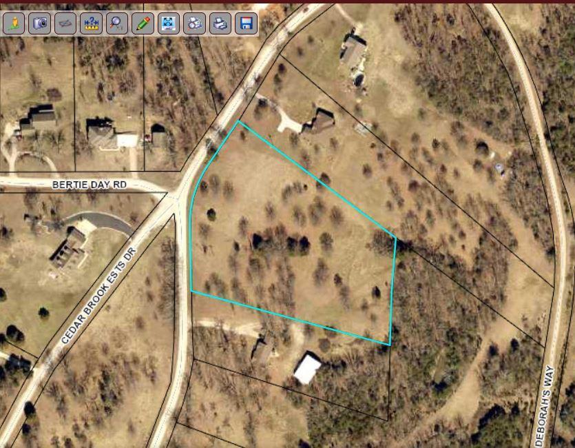 Tbd Forsyth-Taneyville Road - Photo 1
