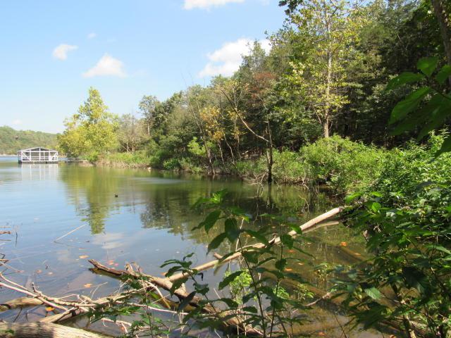 Tbd Woodland Shores - Photo 1