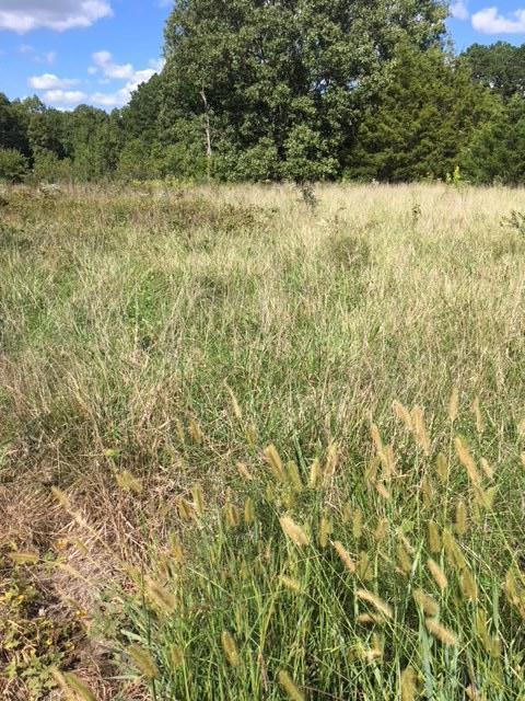 12069 Highway 63 - Photo 1