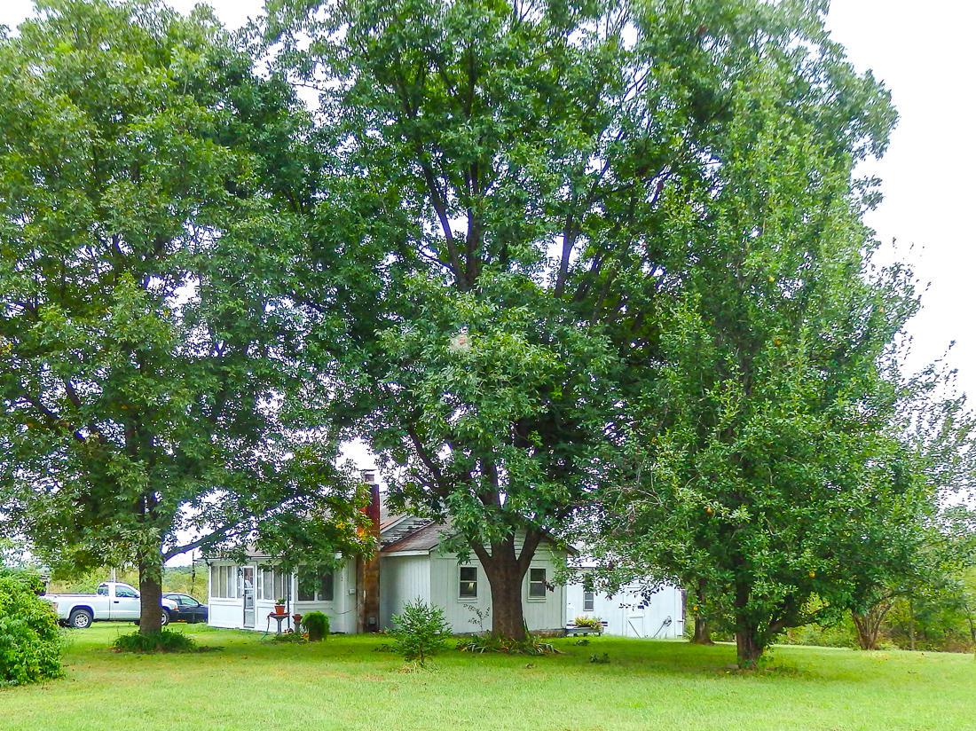 4517 County Road 855 - Photo 1