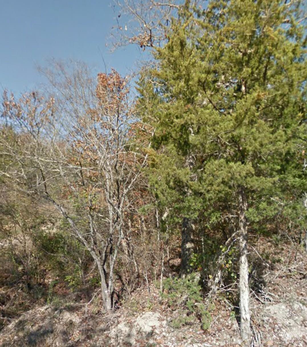 Lot 49 Pickett Ridge - Photo 1