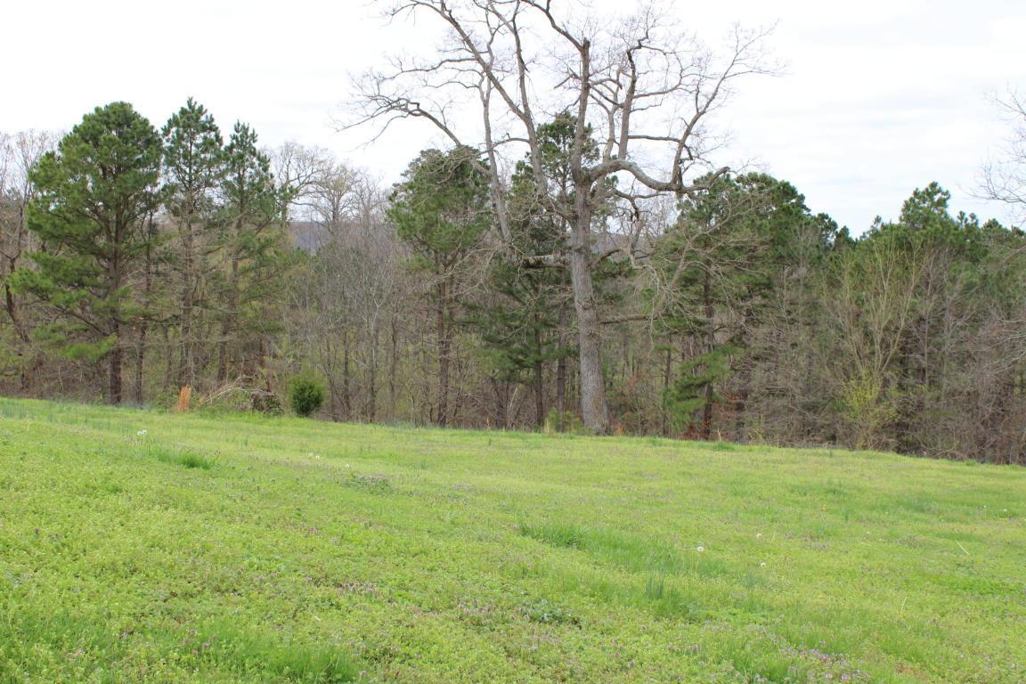 Lot 5 Barbara Court - Photo 1