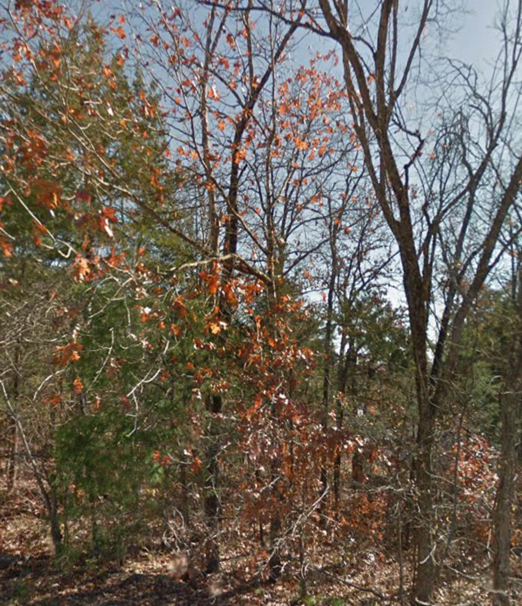 175-Lot 35 Marion Lane - Photo 1