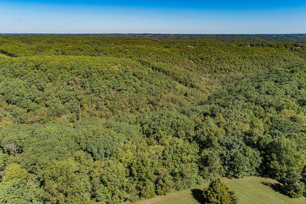 10500 State Highway 76 West - Photo 1