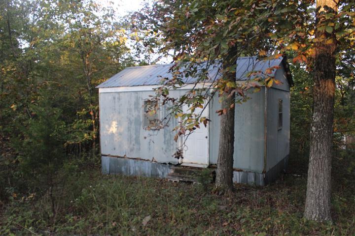 11552 County Road 437 - Photo 1