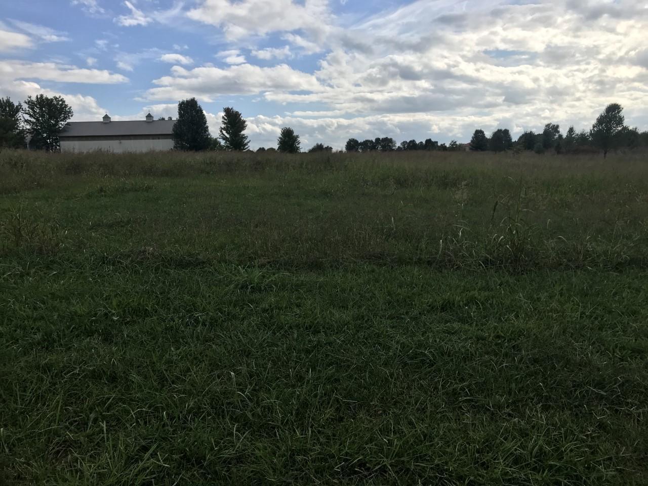 0 Farm Rd 205 - Photo 1