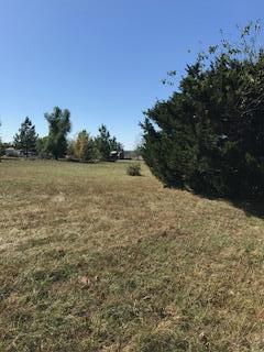 181 Orchard Boulevard - Photo 1