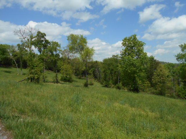 Lot 6 Merlot Circle - Photo 1