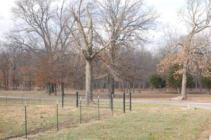 8258 Holly Road - Photo 1