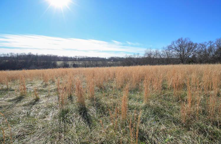 00 Minnehaha Road - Photo 1