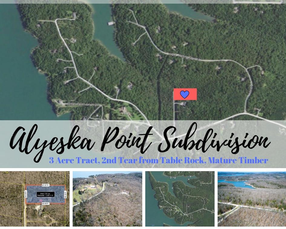 3 Acres Alyeska Point Road - Photo 1
