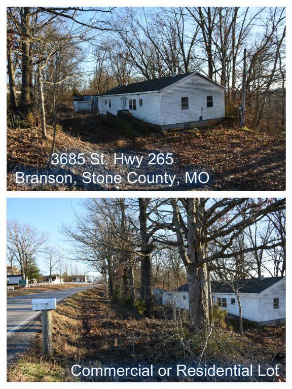 3685 St Hwy 265 - Photo 1
