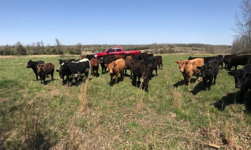 Tbd County Road 385 - Photo 1