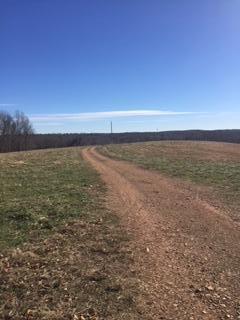 593 Williams Lane - Photo 1