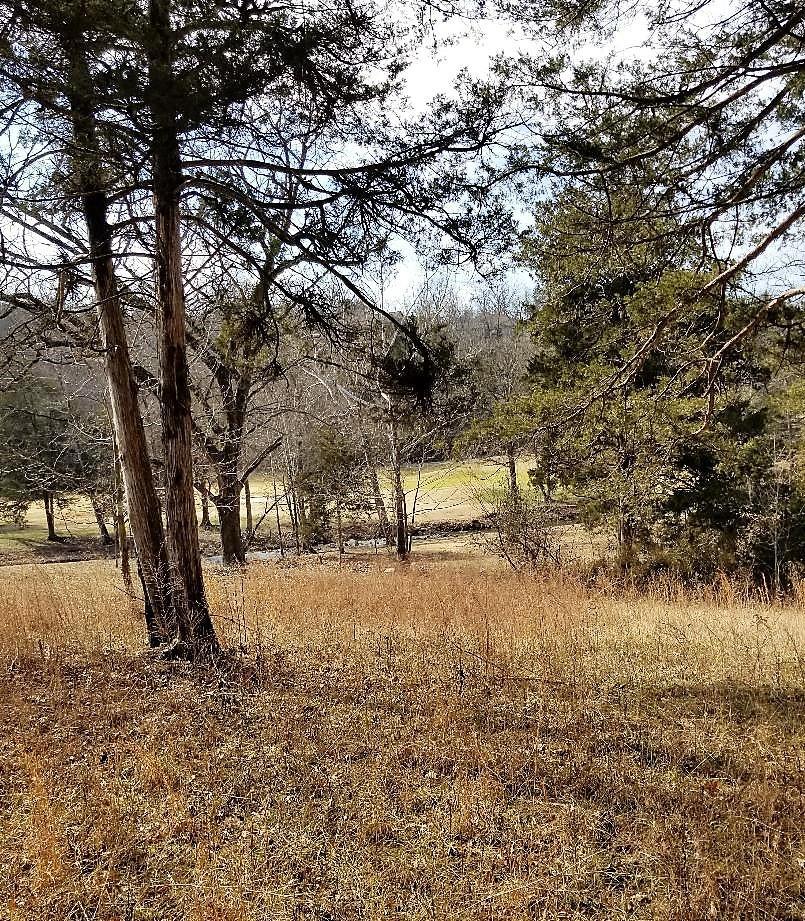 Lot 22 Ashwood - Photo 1