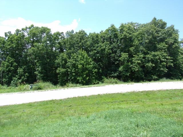 * Emerald Pointe Phase 8 Lot 264 - Photo 1