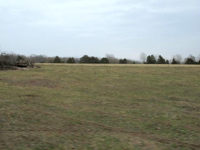 Tbd Jasmine Road - Photo 1