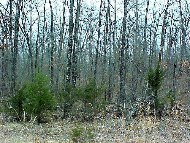 7833 Handcove Road - Photo 1