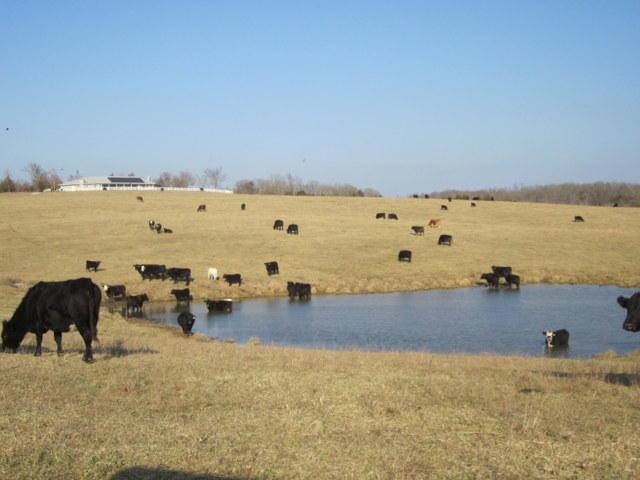 5200 Curtner Road - Photo 1