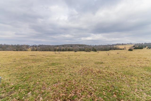 Tbd Farm Rd 43 Tract #8 - Photo 1