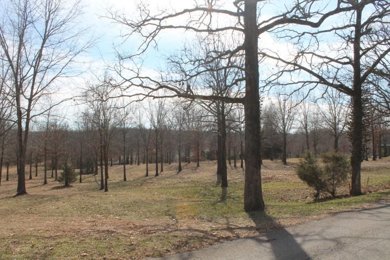 Tbd Cambridge Drive - Photo 1