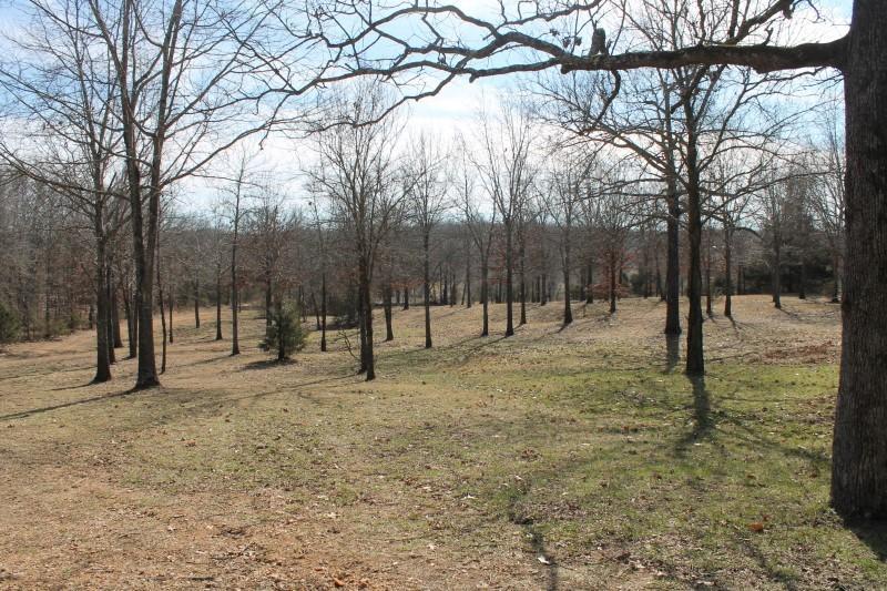 Tbd Cambridge Drive - Photo 1