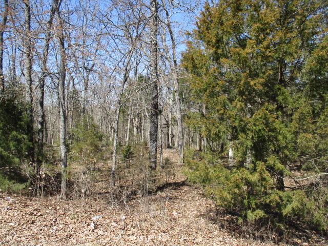 Tbd Ridge Crest Drive - Photo 1