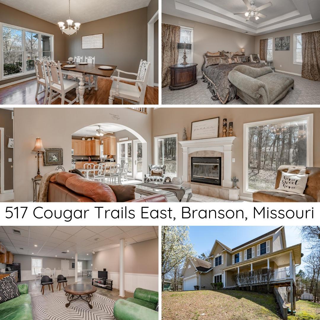 517 Cougar Trail - Photo 1