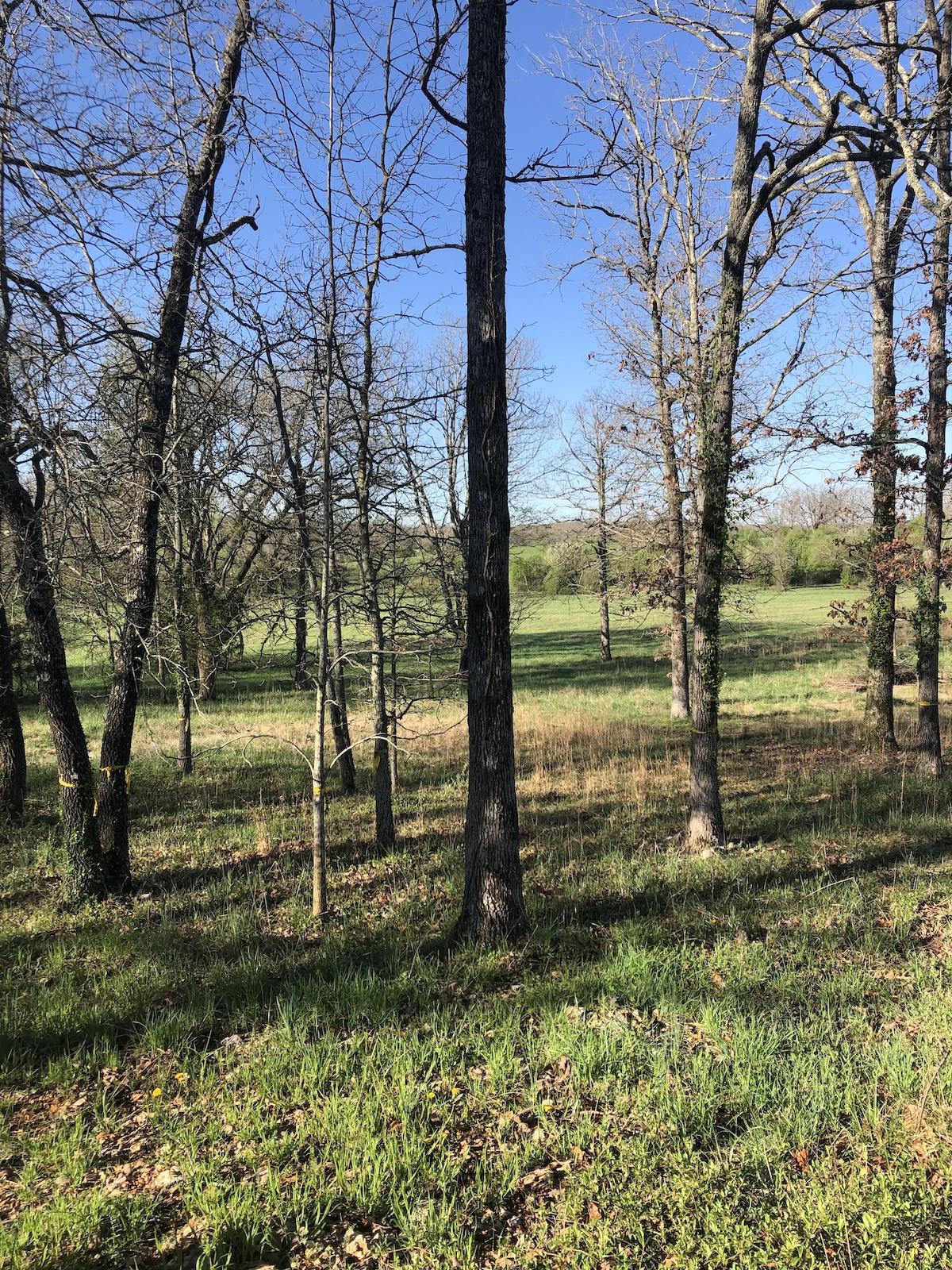 2204 Deer Valley Drive - Photo 1