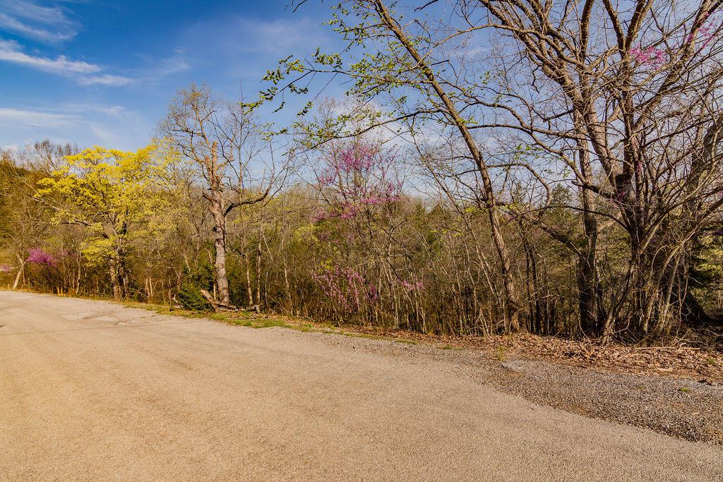 Tbd Lot Kings Ridge Road - Photo 1