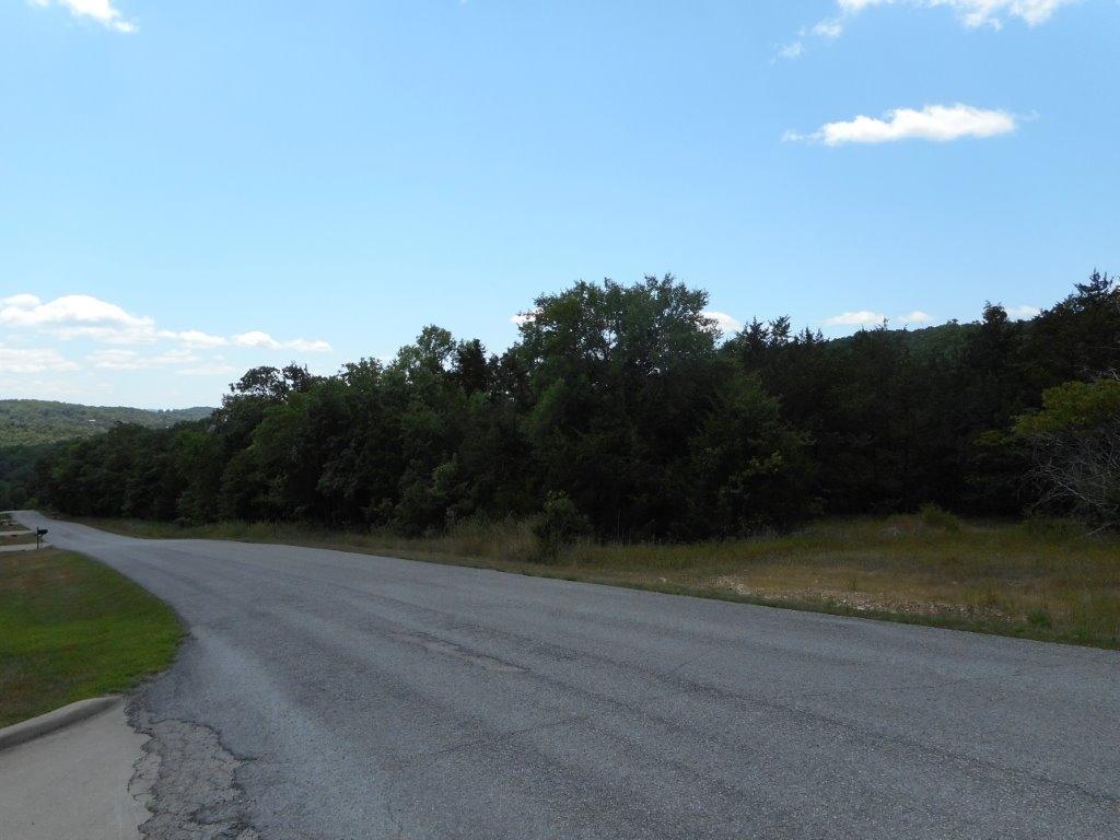 Tbd Rock Ridge Road - Photo 1