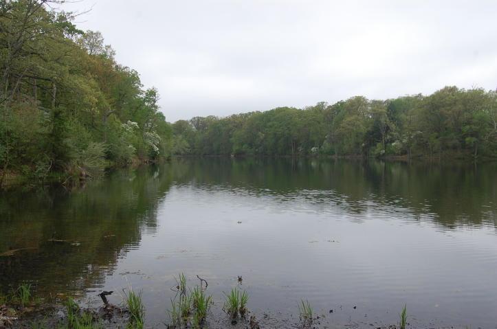 7013 Eland Road - Photo 1