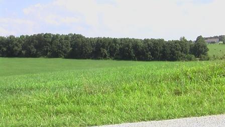 Lot 6 Ranch Estates Drive - Photo 1