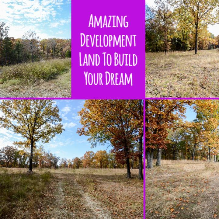 Lot 2 Bee Creek Road - Photo 1