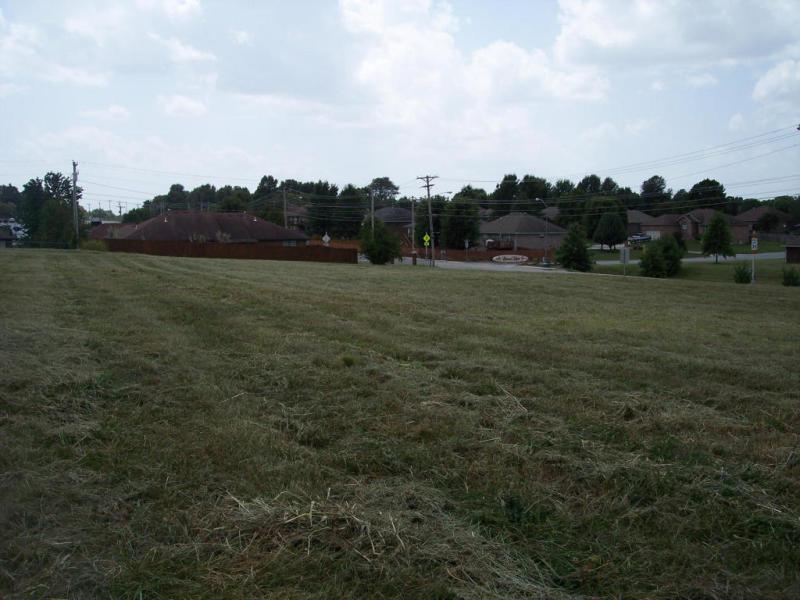 0 Nicholas Road - Photo 1
