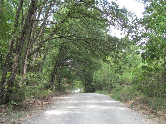 L 47 Rivermeade Loop - Photo 1