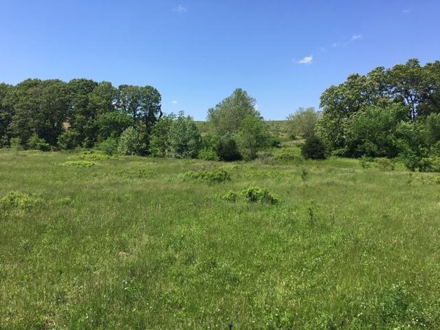 Tbd Parker Avenue - Photo 1